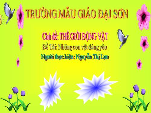 Những con vật đáng yêu