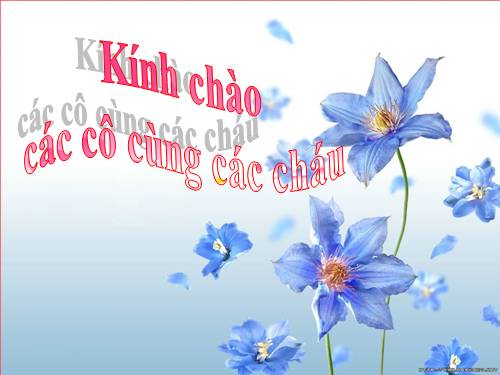 Toán: Các hình khối