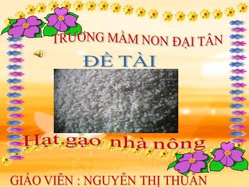 HẠT GẠO NHÀ NÔNG