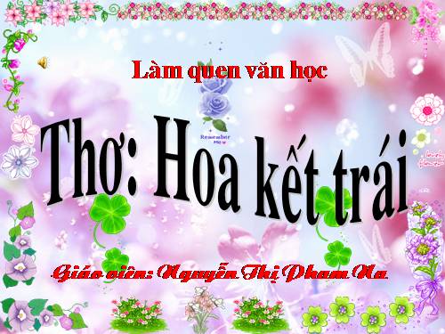 Hoa kết trái