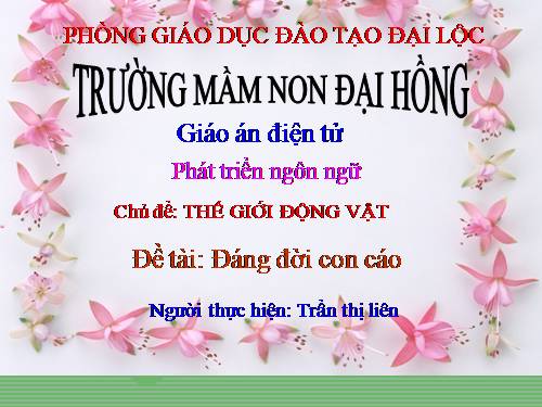 đang đoi con cao