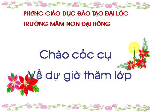 tao hinh mua roi