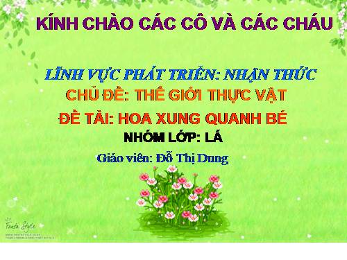 Hoa xung quanh bé