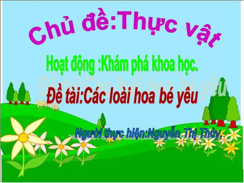 Một số loài hoa