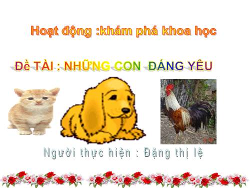 Những con vật đáng yêu