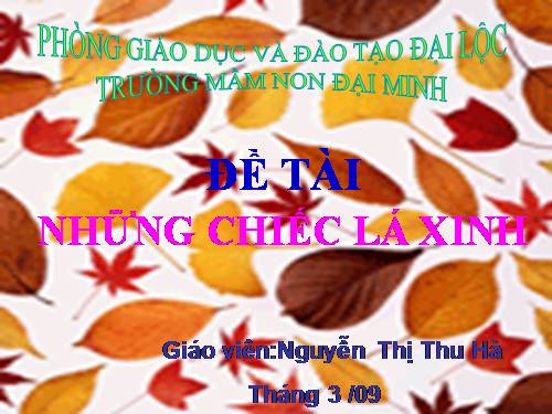 KPKH- Những chiếc lá xinh đẹp