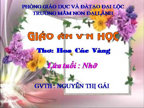 GAVH : HOA CÚC VÀNG