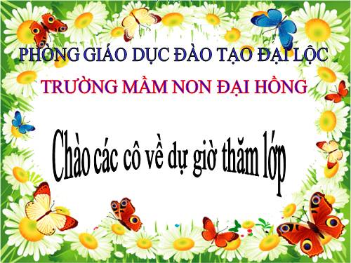 am nhac chu bo doi