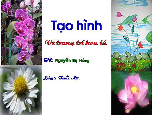 Phát triển thẩm mỹ