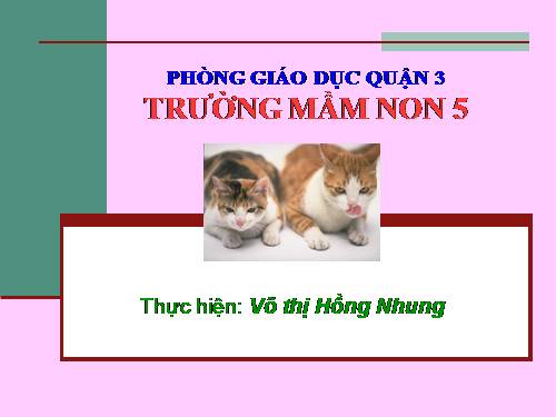 khám phá tự nhiên