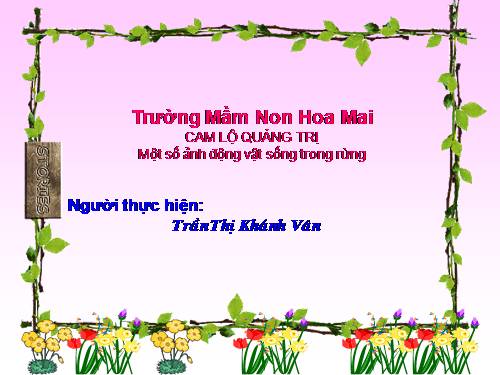 ảnh động vật sống trong rừng