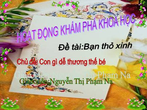 Bạn thỏ xinh