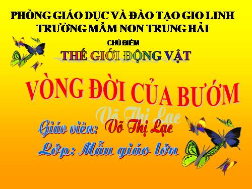 vòng đời của bướm