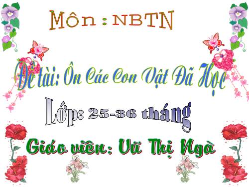 Ôn các con vật