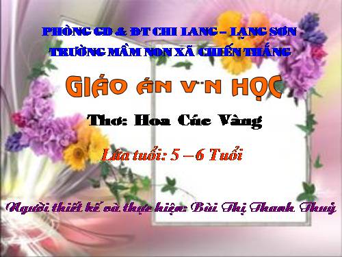 bài Hoa cúc vàng