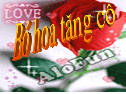 Bó hoa tặng cô