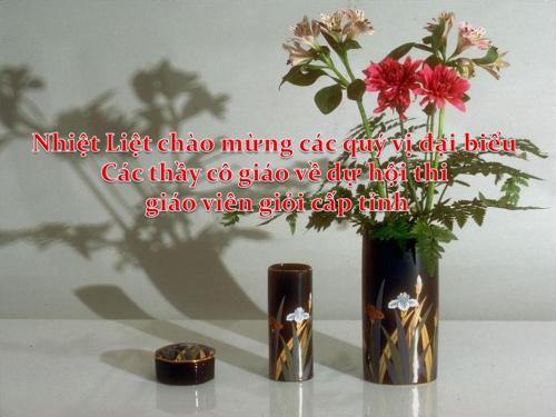 Bài giảng-Chia 10 đối tượng ra làm 2 phần Tách-Gộp chủ đề Trường tiểu học