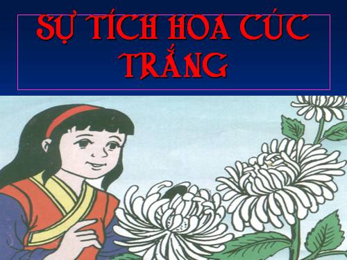 Kể chuyện: Hoa cúc trắng