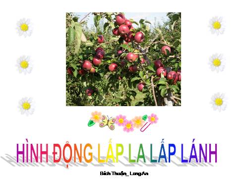 Hình động-Hoa đẹp lấp la lấp lánh