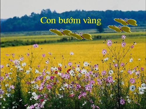 Con bướm vàng