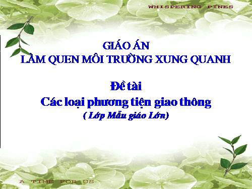 Các phương tiện giao thông