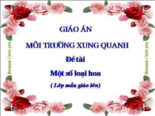 Một số loại hoa