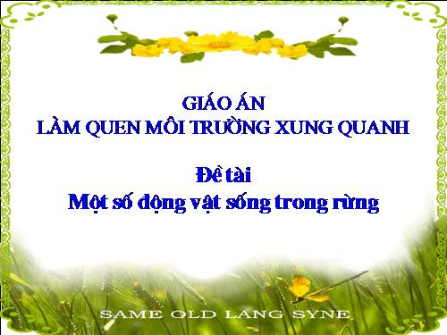 Một số động vật sống trong rừng