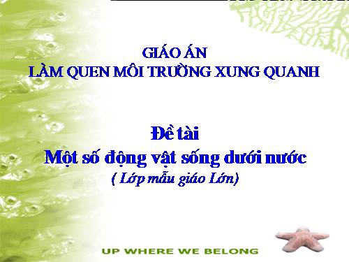 Một số động vật sống dưới nước