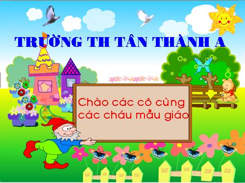 Vẽ trang trí hoa lá trên băng giấy