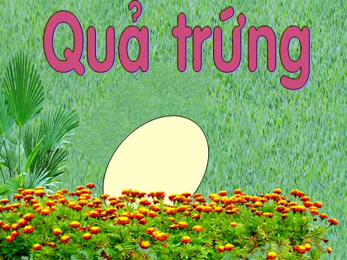 Truyện "Quả trứng của ai"