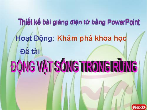 Kham pha MTXQ_Dong vat song trong rung