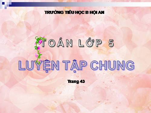 Toán 5 - Luyen tap chung tr. 43