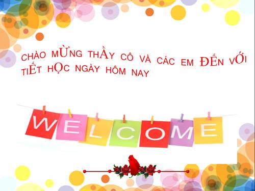 Diện tích hình tam giác