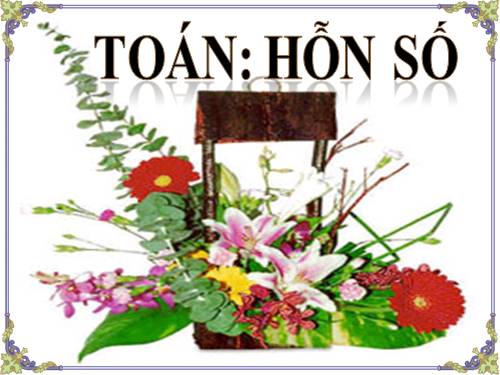 Hỗn số