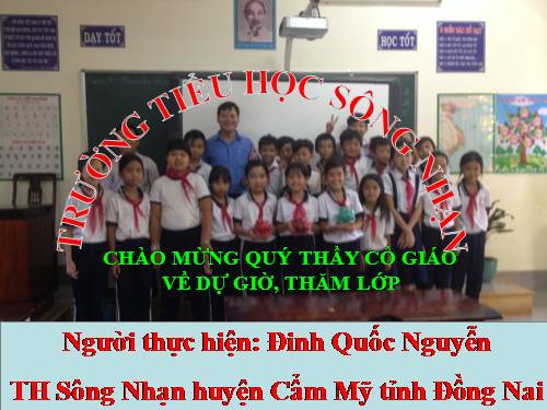 Diện tích hình tam giác