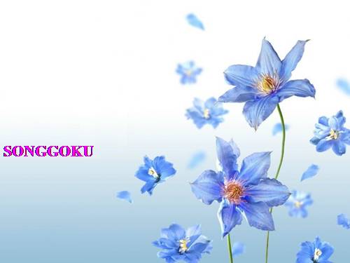 Ôn tập về giải toán