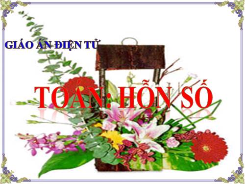 Hỗn số
