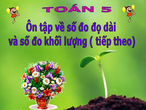 Ôn tập về đo độ dài và đo khối lượng (tiếp theo)
