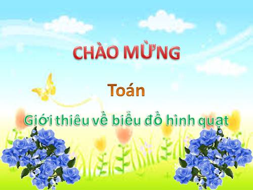 Giới thiệu biểu đồ hình quạt