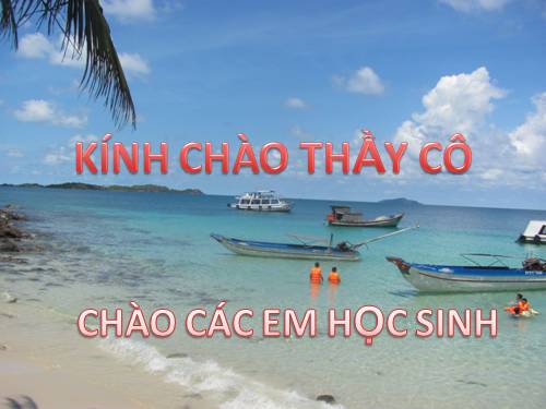Diện tích hình tam giác