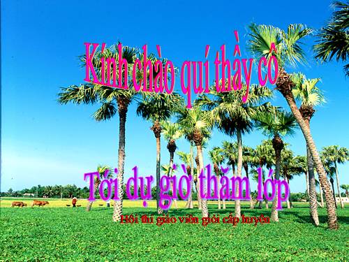 Diện tích hình tròn
