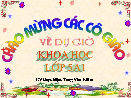 Hình tam giác