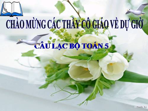 Sinh hoạt CLB Toán - Tuần 8