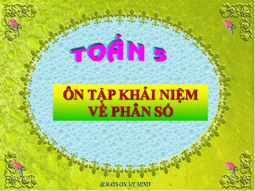 Ôn tập: Khái niệm về phân số