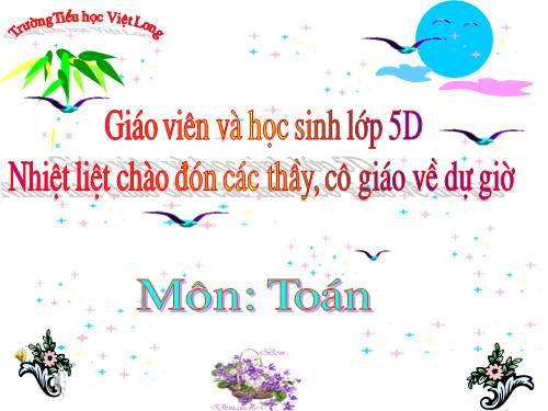tuan 15