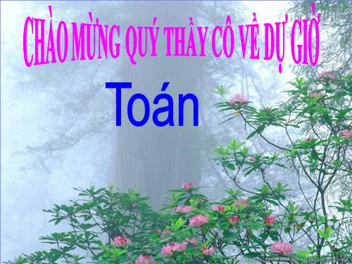 Ôn tập về phân số