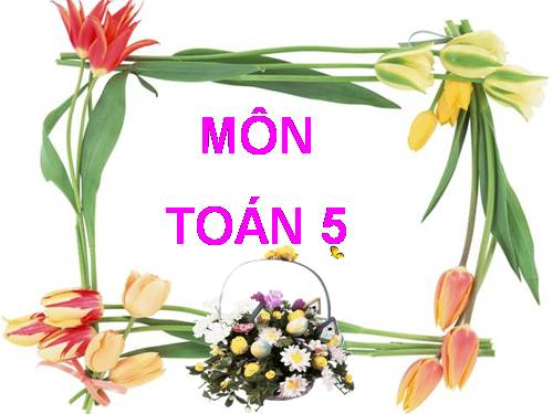 Luyện tập chung Trang 127