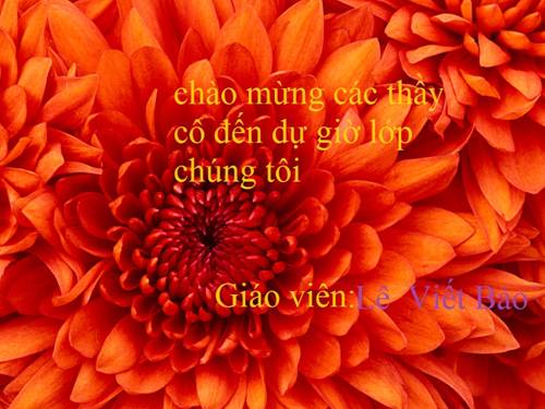 Chia một số thập phân cho một số thập phân