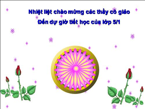 Ôn tập: Khái niệm về phân số
