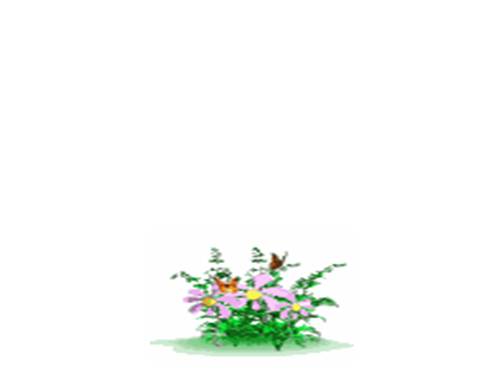 Khái niệm số thập phân (tiếp theo)